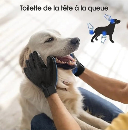Gant de Toilettage en Silicone VapoPattes® – Massage & Retrait des Poils pour Chats et Chiens